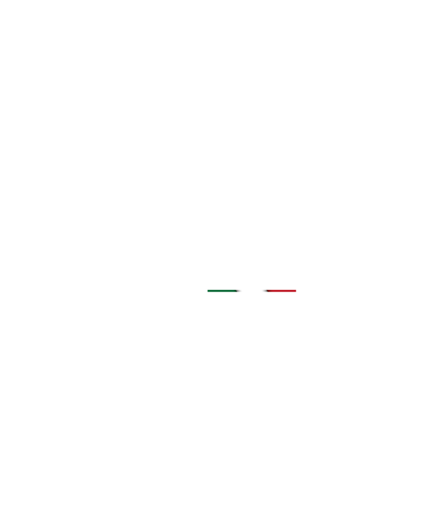 Logo di Buga Bags